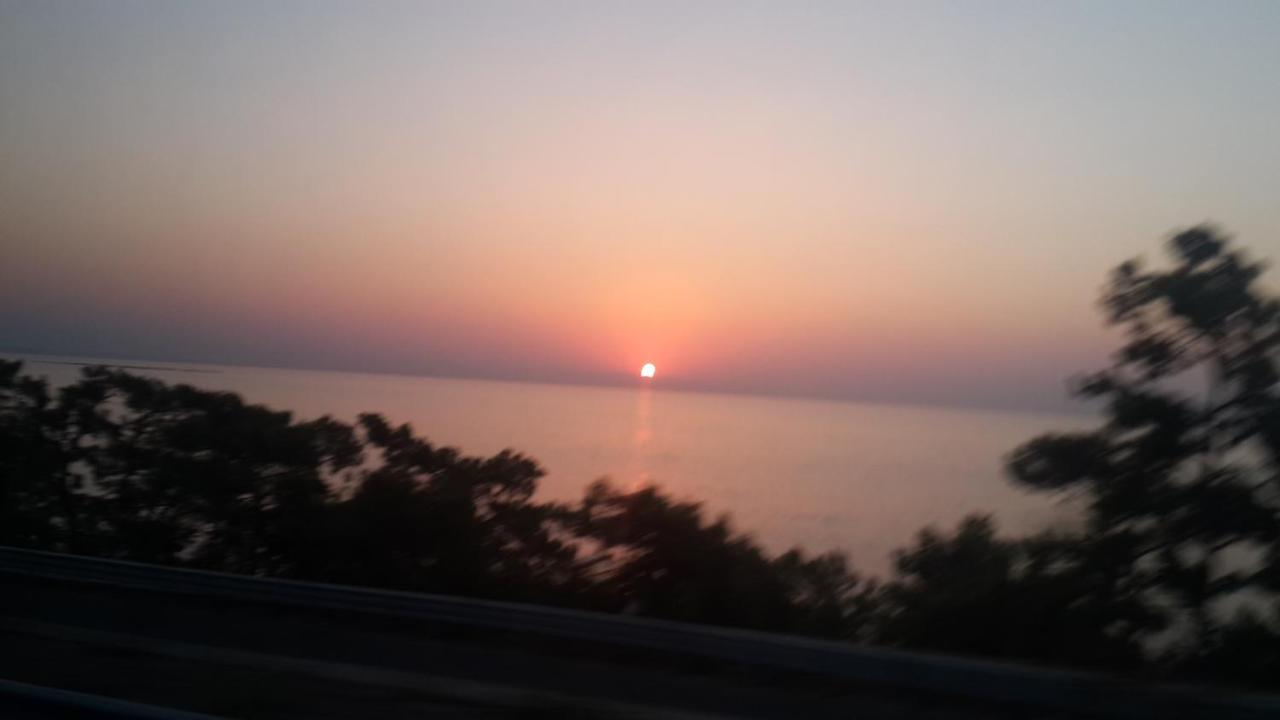 Cirali Kus Yuvasi Bed and Breakfast Εξωτερικό φωτογραφία