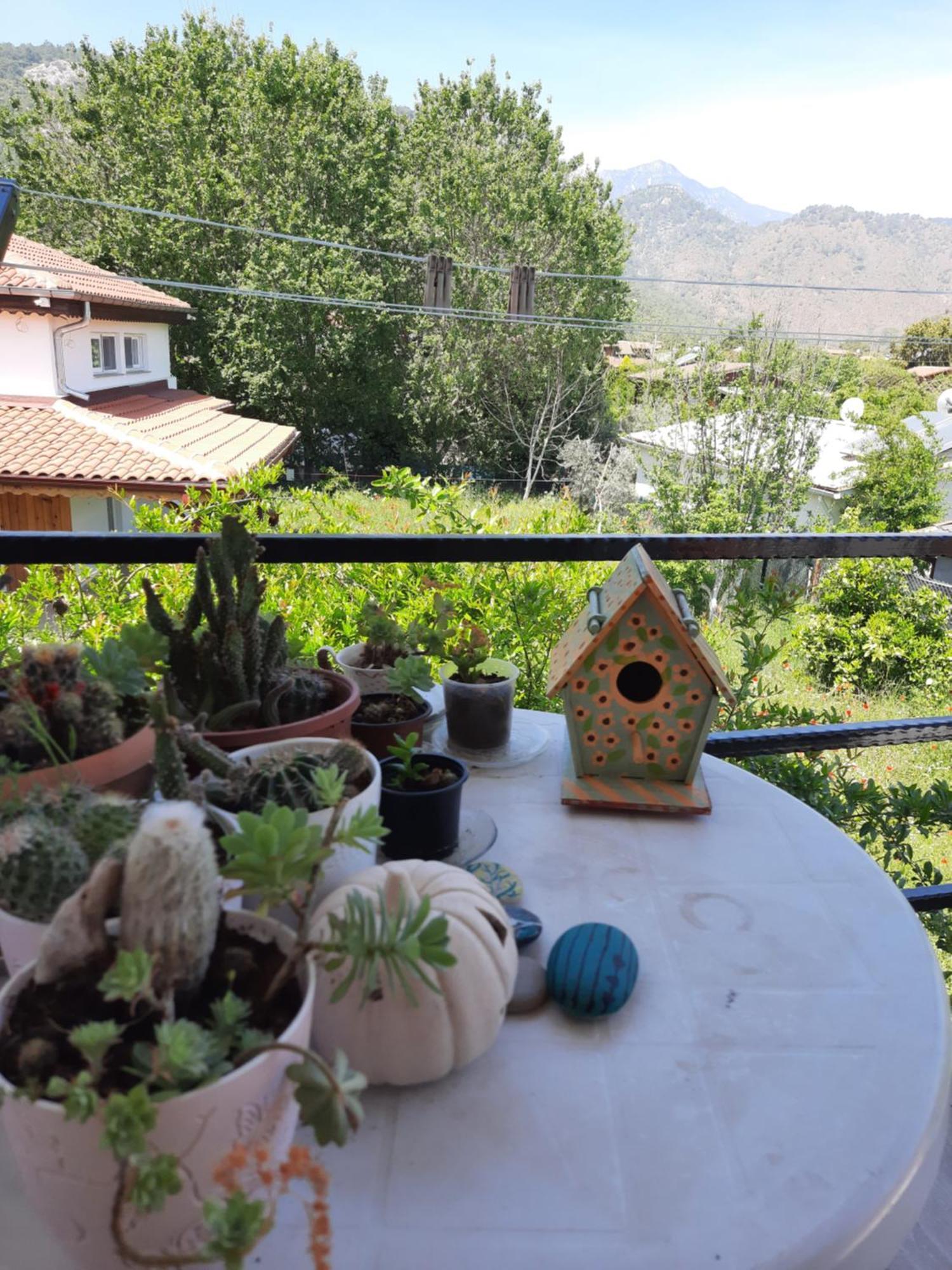 Cirali Kus Yuvasi Bed and Breakfast Δωμάτιο φωτογραφία
